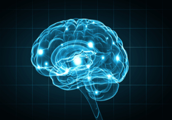 Brain Training
